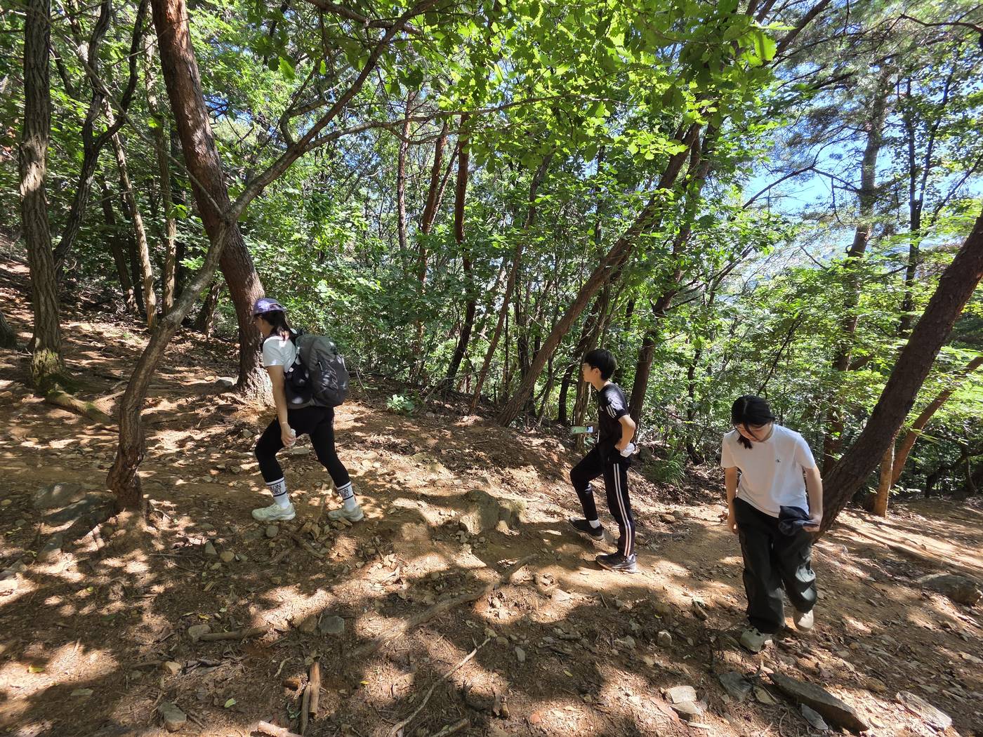 숲길을 한 줄로 올라가는 아이들